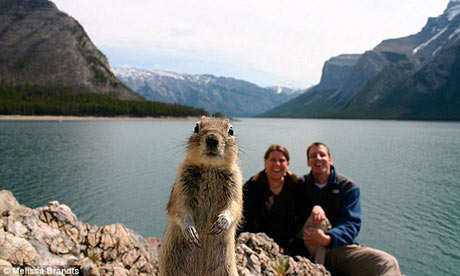 squirrel squirrel